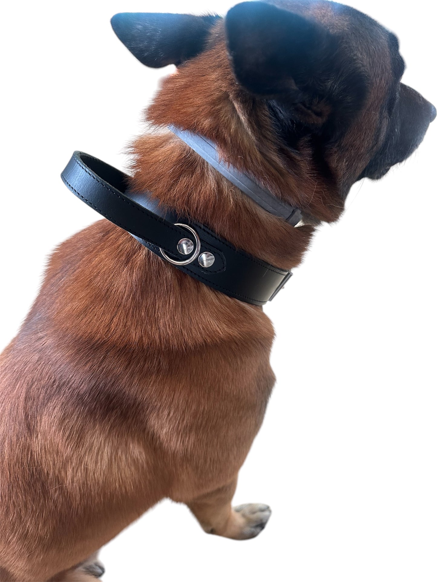 Collier d'intervention cuir avec poignée