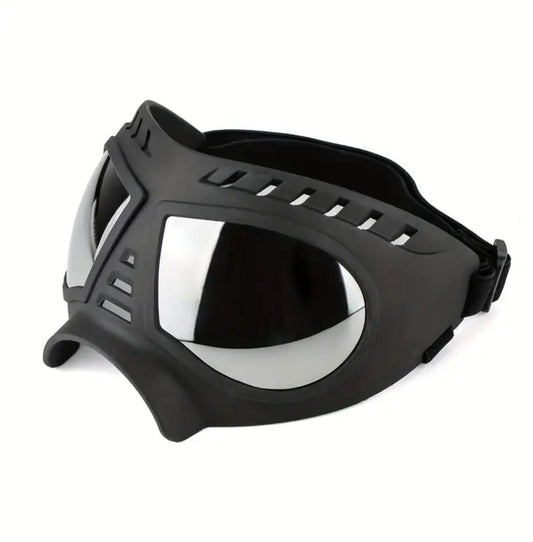 Lunette de protection chien